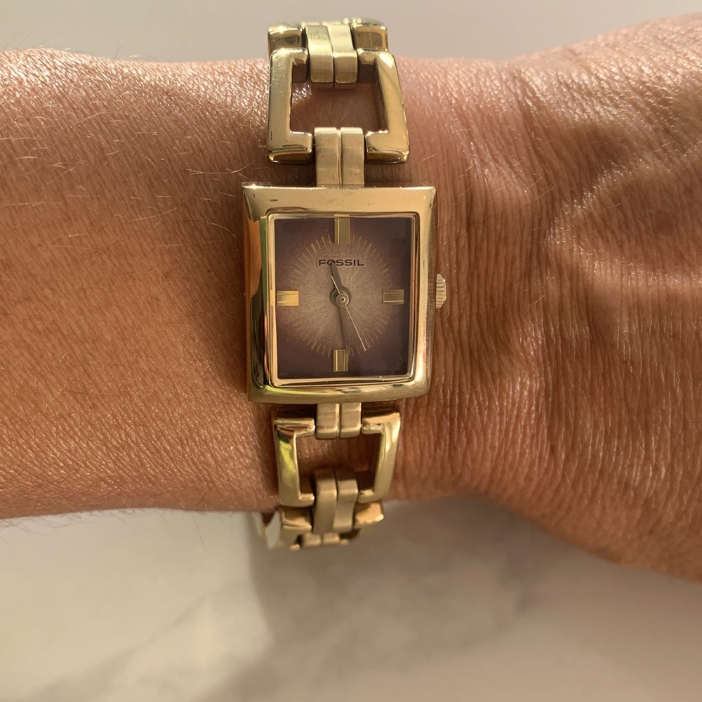 Dainty fossil link watch.